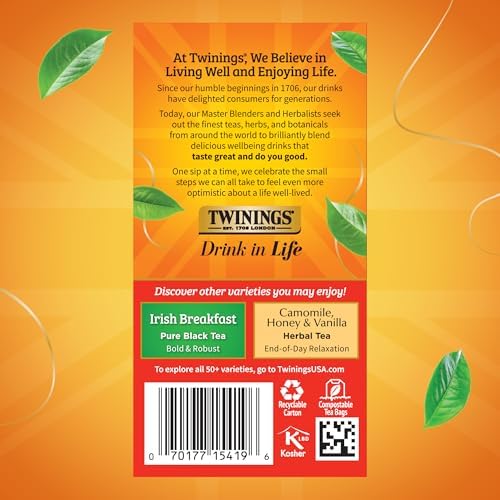 Twinings English Breakfast Black Tea Individually Wrapped Bags, 20 Count (Pack of 6), Flavourful, Robust, Caffeinated, Enjoy Hot or Iced, 120 Teabags