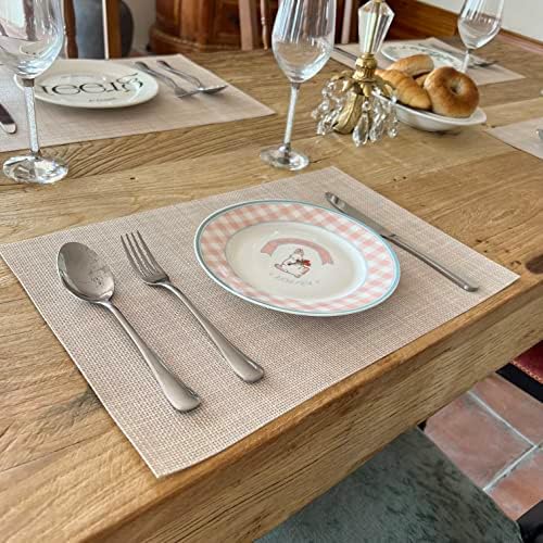 WAZAIGUR Placemats Crisscross Woven Vinyl Place Mats Set of 6 Beige