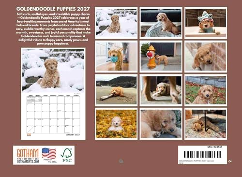 Goldendoodle Puppy Calendar 2027 Golden Doodle Monthly Wall Calender 12 Month