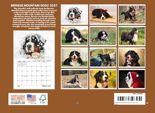 Bernese Mountain Dog Calendar 2027 Monthly Wall Calender 12 Month