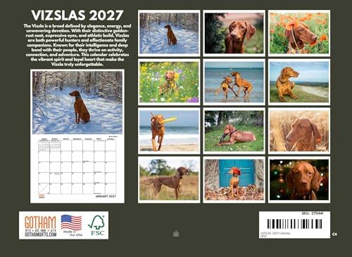 Vizsla Calendar 2027 Viszla Monthly Wall Calander 12 Month