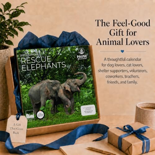 2027 Rescue Elephant Wall Calendar, 12 x 24 Hanging Pacific Waters Press