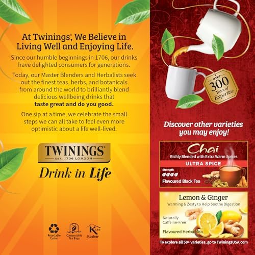 Twinings Chai Spiced Black Tea Bags, 25 CT Box (6 Pack)