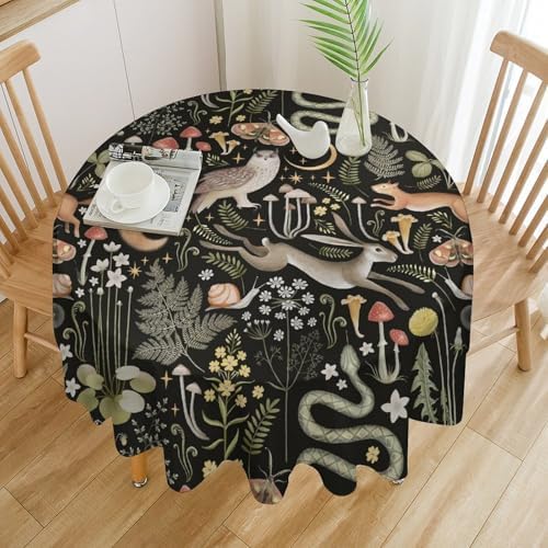 Retro Forest Curtains, Fairy Tale Woodland Wild Animals Moths Owl Snake Cartoon Flowers Mushroom Farmhouse Holiday Tablecloths for Home Kitchen Party Dinner Decor, 60x60in