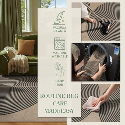 Lahome Modern Rainbow Easy Jute Rug, 3x5 Washable Rugs for Entryway Farmhouse Black Patio Carpet, Non Slip Indoor Door Mat Contemporary Outdoor Porch Carpet for Laundry Guestroom Room Decor