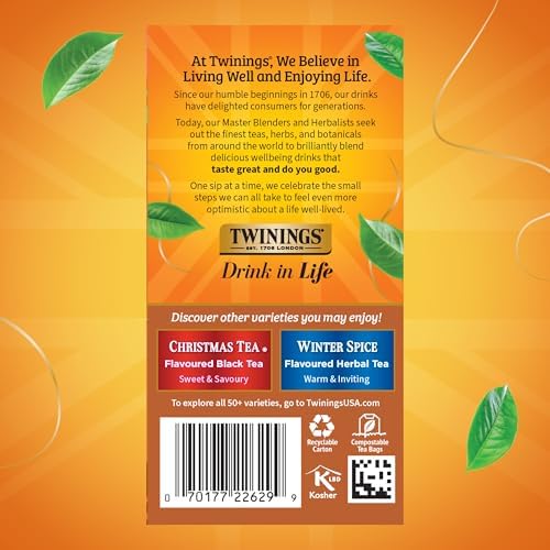 Twinings Gingerbread Joy Holiday Black Tea Bags, 20 CT Box (6 Pack)