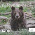2027 Rescue Bear Wall Calendar, 12 x 24 Hanging Pacific Waters Press