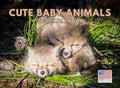 Cute Baby Animal Calendar 2027 Kids Monthly Wall Calender 12 Month