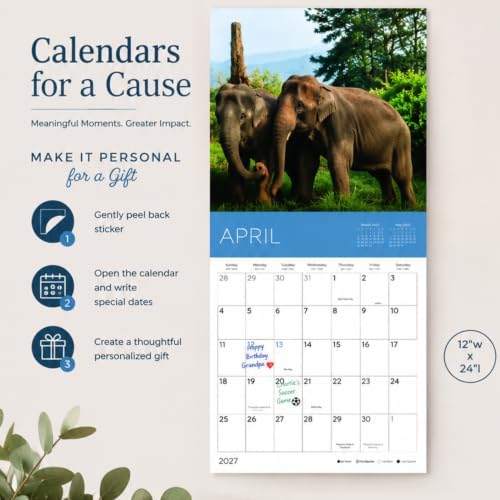 2027 Rescue Elephant Wall Calendar, 12 x 24 Hanging Pacific Waters Press