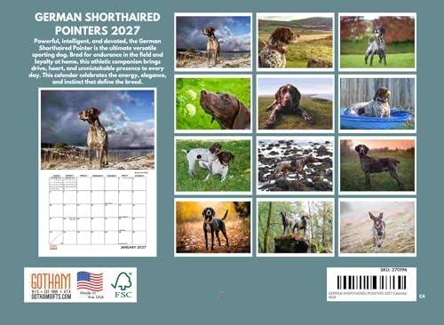 German Shorthaired Pointer Calendar 2027 GSP Monthly Wall Calender 12 Month