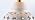 JONATHAN Y Pierced Ginger Jar 20.5" Ceramic Table Lamp, White