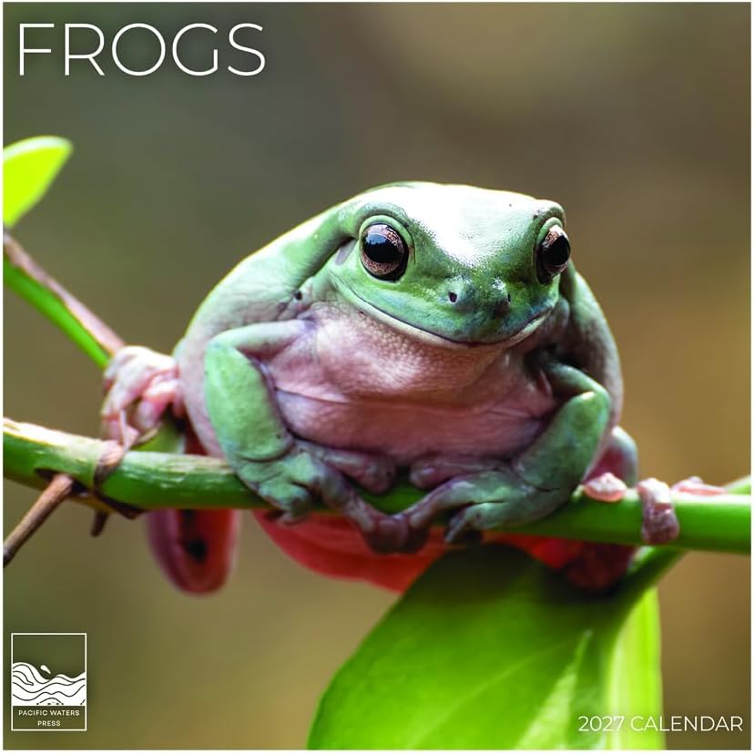 Frogs 2027 Wall Calendar, 12 x 24 Hanging Pacific Waters Press