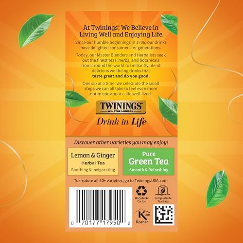 Twinings Orange & Cinnamon Spice Herbal Tea Bags, 20 CT Box (6 Pack)