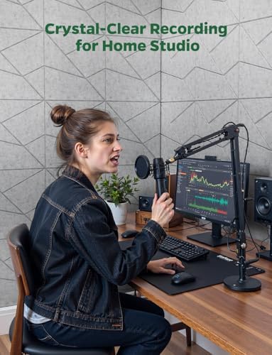 18 Pack Acoustic Panels Sound Absorbing for Wall Home Office, Gary Cut-line Decorative Sound Reducing Art Peel and Stick Ceiling Tiles for Recording Studio Acoustical Treatments Gaming Room