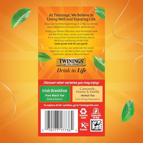 Twinings Extra Strong English Breakfast Black Tea Individually Wrapped Bags, 20 Count (Pack of 3), Robust, Caffeinated, Enjoy Hot or Iced, 20 Teabags