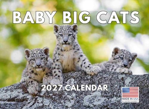 Baby Big Cat Calendar 2027 Cubs Monthly Wall Calender 12 Month