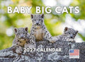 Baby Big Cat Calendar 2027 Cubs Monthly Wall Calender 12 Month