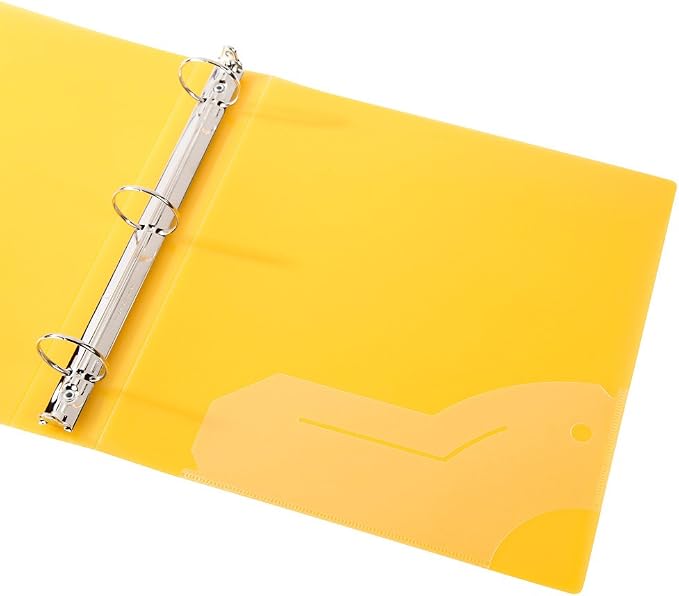 Filexec 50003-6492 6492, 1" Frosted Ring Binder, Set of 6, 6 Assorted Colors, Blueberry, Strawberry, Grape, Lime, Lemon, Tangerine