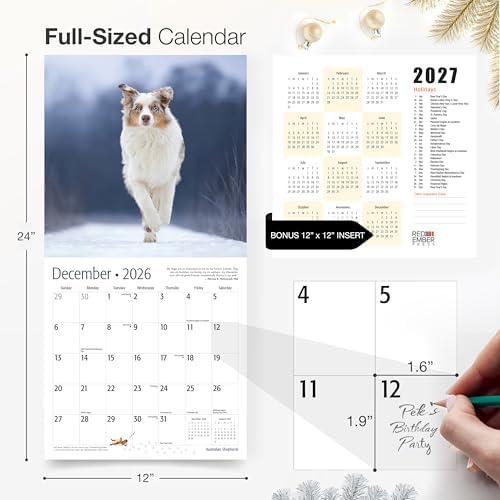 RED EMBER Australian Shepherds Aussies 2026 Wall Calendar 12 Month | 12" x 24" Open | Thick & Sturdy Paper | Giftable | Cute Puppy Dog Calendar 2026