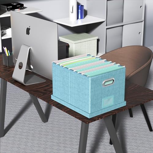 Oterri File Organizer Box with Lid, Portable Hanging File Box for Letter/Legal File Folder Storage, Office/Decor/Home, 1 Pack, Light-blue