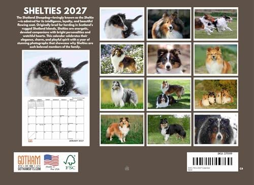 Sheltie Calendar 2027 Shetland Sheepdogs Monthly Wall Calender 12 Month