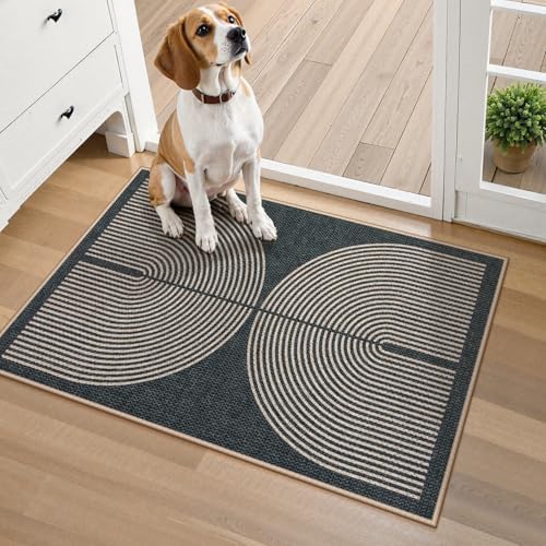 Lahome Rainbow Indoor Door Mat, 20"x32" Small Black Rugs for Entry Kitchen
