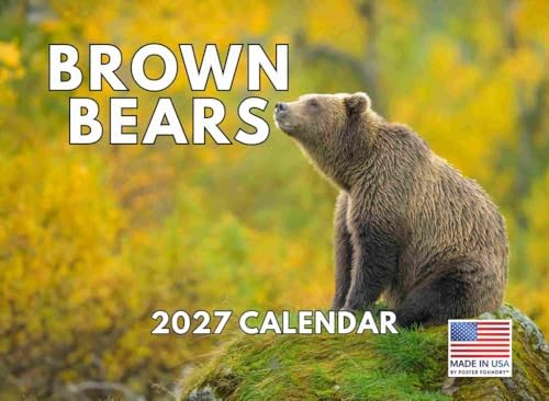 Brown Bear Calendar 2027 Bears Monthly Wall Calender 12 Month