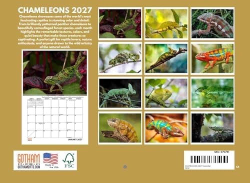 Chameleon Calendar 2027 Monthly Wall Calender 12 Month