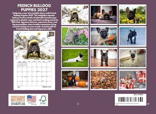 French Bulldog Puppy Calendar 2027 Frenchie Monthly Wall Calender 12 Month