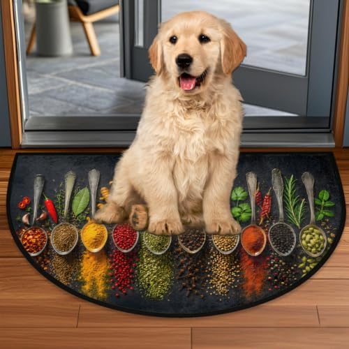 Spice Pattern Half Round Door Mat Welcome Entrance Rug Outdoor Indoor