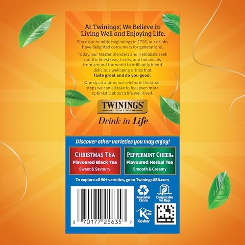 Twinings Winter Spice Camomile Apple Spiced Herbal Tea Bags, 20 CT (6 Pack)