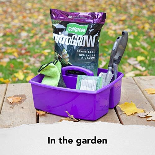 Storex 2-Compartment Large Craft Caddy – Multipurpose Classroom Organizer with Handle, Purple, 1-Pack (00955C06C)