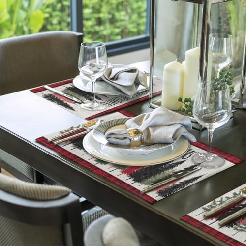 Placemats 12x18 Inch Washable Linen Place Mats Cloth Tables Mats