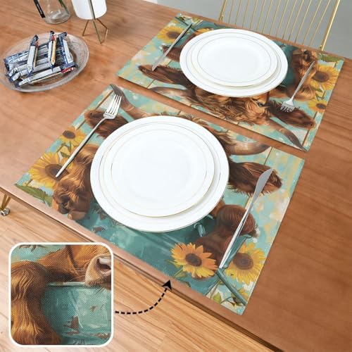 ALAZA Highland Cattle in an Iron Can Set of 4 Placemats Rectangle Table Mat for Dining Table Restaurant Kitchen Home Decor, 12" x 18"