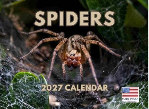 Spider Calendar 2027 Spiders Monthly Wall Calender 12 Month