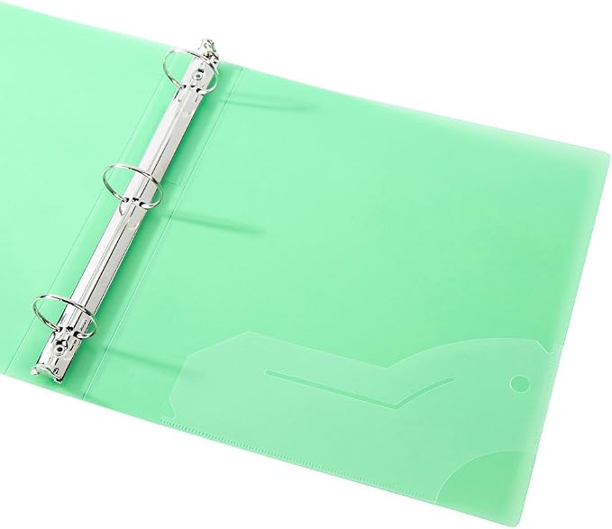 Filexec 50003-6492 6492,1" Frosted Ring Binder,Set of 6,6 Assorted Colors,Blueberry,Strawberry,Grape,Lime,Lemon,Tangerine,(Pack of 8)