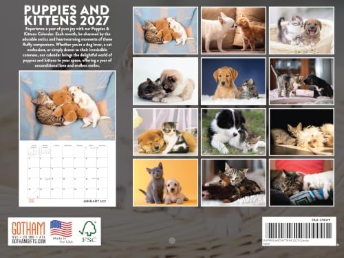 Puppy and Kitten Calendar 2027 Puppy Kitten Kitty Monthly Wall Calender 12 Month
