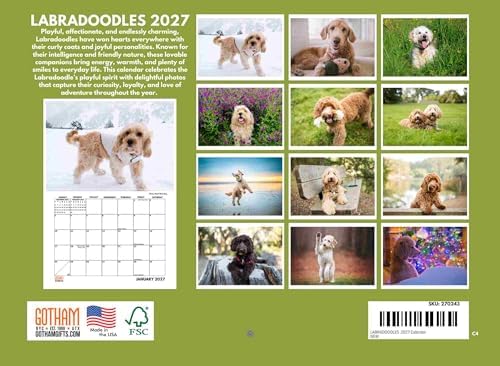 Labradoodle Calendar 2027 Monthly Wall Calender 12 Month