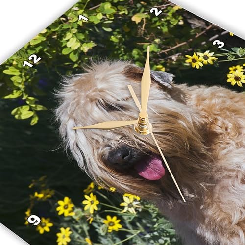 3dRose Wall Clock Silent - 13 inch - Wheaten Terrier Sitting in Yellow Flowers, PR - Animals