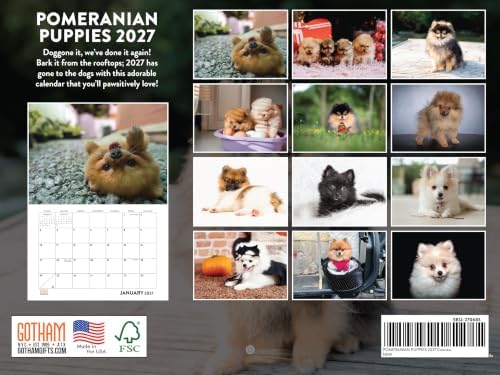 Pomeranian Puppy Calendar 2027 Monthly Wall Calender 12 Month
