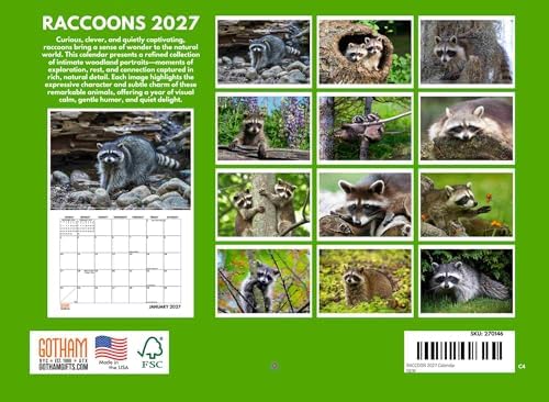 Raccoon Calendar 2027 Monthly Wall Calender 12 Month