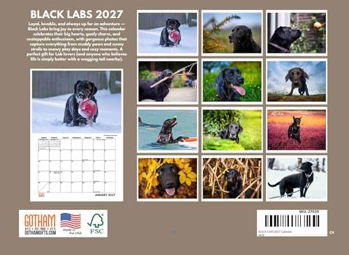 Black Lab Calendar 2027 Labs Monthly Wall Calender 12 Month