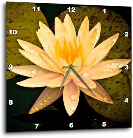 3dRose Wall Clock Silent - 10 inch - Yellow Lotus Flower - Photography Flower