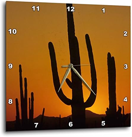 3dRose DPP_87957_2 Giant Saguaro Cactus Succulent, Arizona-Us03 Jme0107-John and Lisa Merrill-Wall Clock, 13 by 13-Inch