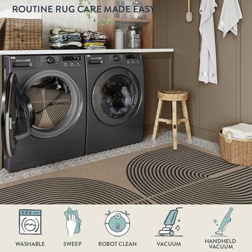 Lahome Modern Rainbow Easy Jute Outdoor Rug 4x6, Neutral Brown Office Rug