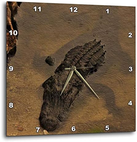 3dRose Wall Clock Silent - 10 inch - Alligator Chilling in the Warm FL Water - Repiles