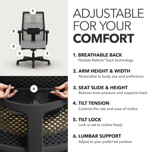HON Ignition 2.0 ReActiv Ergonomic Office Chair, Lumbar Support, Graphite