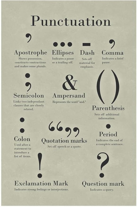 Laminated Punctuation Poster Grammar Writing English Classroom Posters Depth Knowledge Literary Terms Library Class Decorations High School Teacher Home Chart Dry Erase Wall Art 24x36