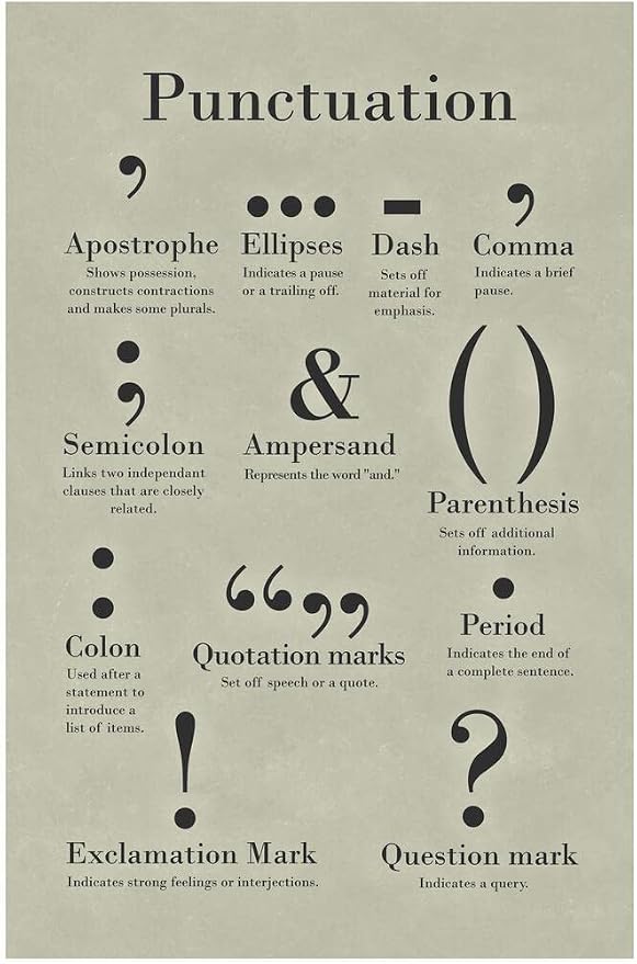 Punctuation Poster Grammar Writing English Classroom Posters Depth Knowledge Literary Terms Library Class Decorations High School Teacher Home Chart Cool Wall Art Print 16x24