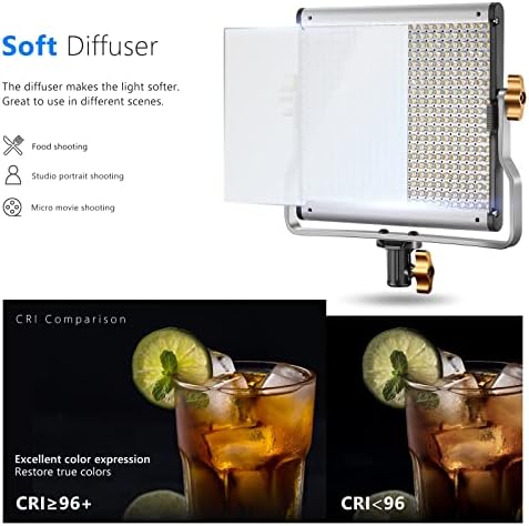 NEEWER Dimmable Bi Color LED with U Bracket Professional Video Light